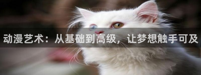 韩漫漫画每日更新：动漫艺术：从基础到高级，让梦想触手可及配图