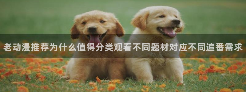 好看的韩漫推荐：老动漫推荐为什么值得分类观看不同题材对应不同追番需求配图