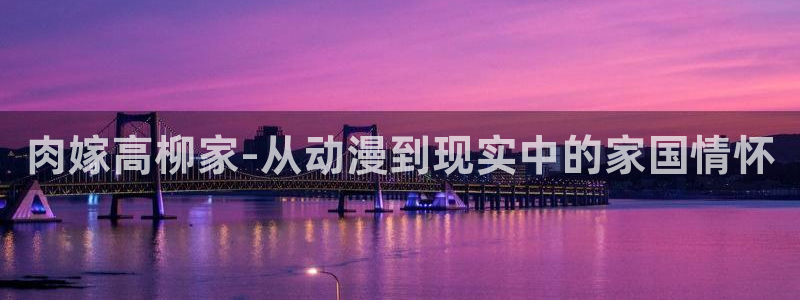 韩漫在线阅读网站：肉嫁高柳家-从动漫到现实中的家国情怀配图