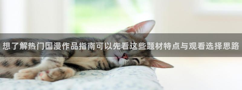 热门韩国漫画：想了解热门国漫作品指南可以先看这些题材特点与观看选择思路配图