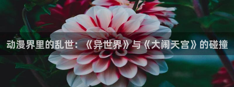 韩漫漫画在线：动漫界里的乱世：《异世界》与《大闹天宫》的碰撞配图