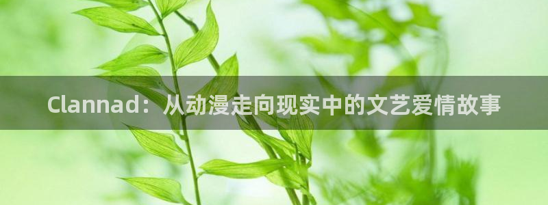 在线韩漫大全:Clannad:从动漫走向现实中的文艺爱情故事配图